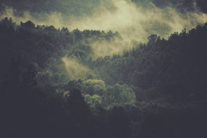 demo-29