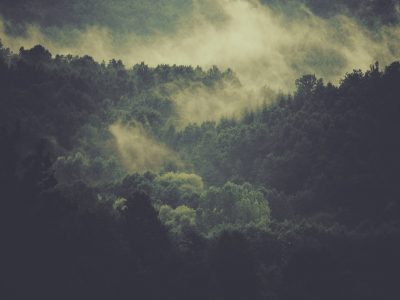 demo-29