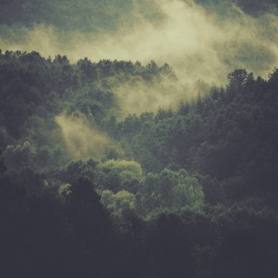 demo-29