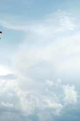 samuel-zeller-358865-unsplash