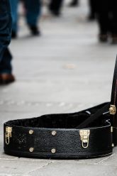 guitar-case-485112_1920