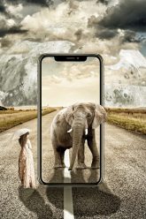 iphone-x-2957273_1920