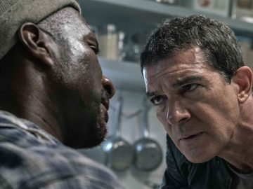 466b3772-c5af-11e7-b773-005056b70bb8