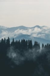 mountains-clouds-forest-fog