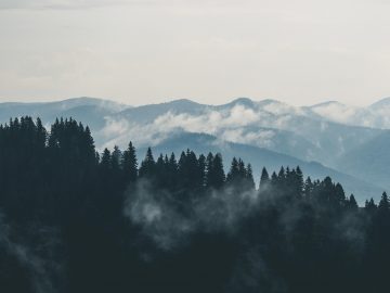 mountains-clouds-forest-fog