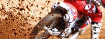 pexels-photo-1024894