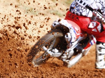 pexels-photo-1024894